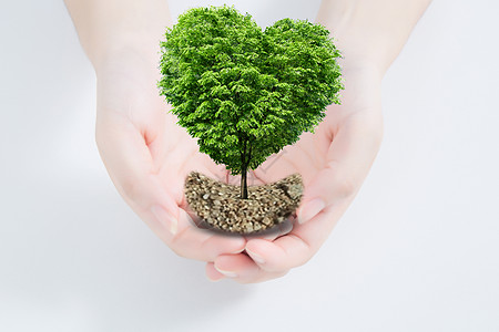 手捧环保图片