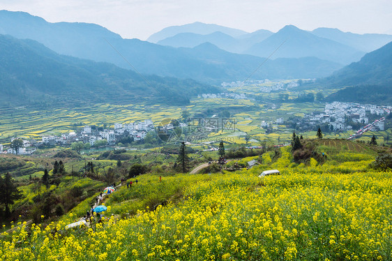 江西婺源漫山遍野的油菜花图片