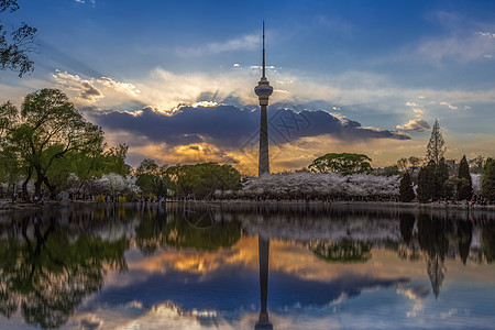 樱花全景风景如画背景