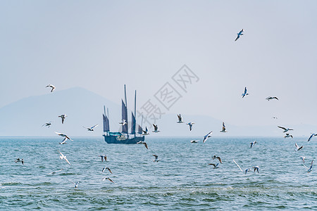 动态连拍素材无锡鼋头渚太湖背景