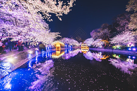 缤纷无锡鼋头渚樱花背景