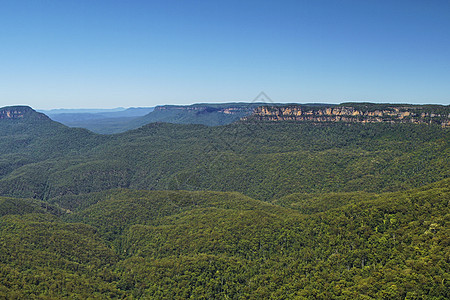 澳洲蓝山背景图片
