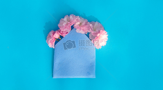 蓝上的樱花图片
