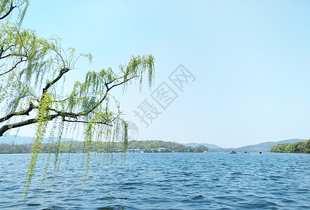 西湖背景图片