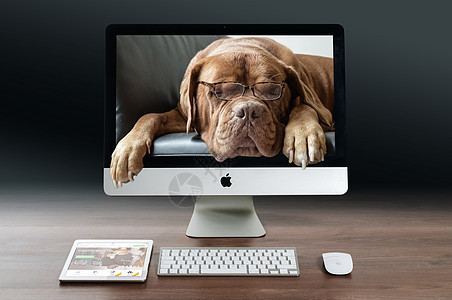 狗钻出电脑屏幕自然与科技结合背景图片