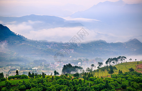 云上人家云雾里的梯田人家背景