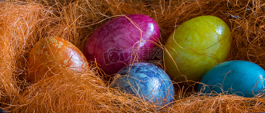 彩色的蛋