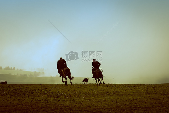 赛马图片