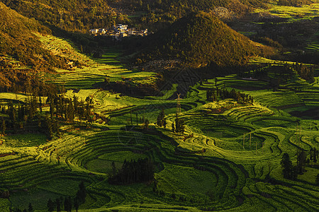 红领巾之歌田园之歌背景