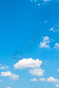 大雁飞行蓝色天空的白云背景