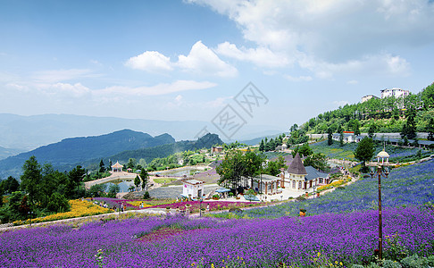 花园背景紫海云天背景