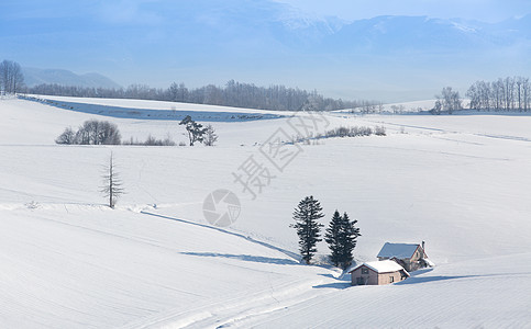 白雪中的美景图片