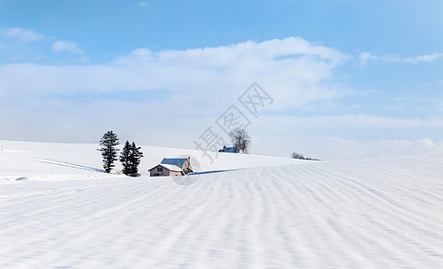 白雪中的房屋图片