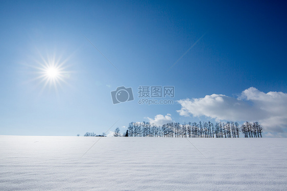 白素雪景下的树图片