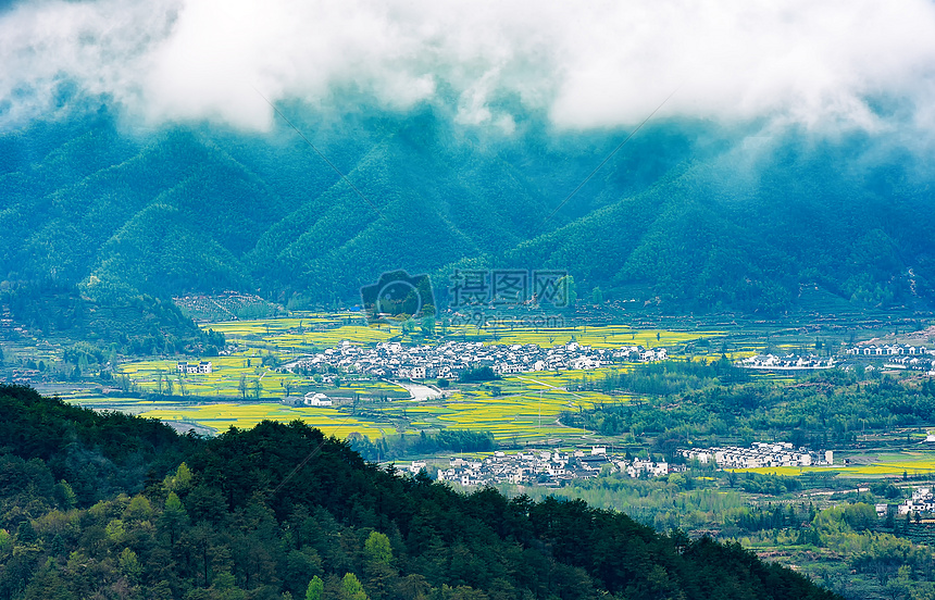 远眺村庄田野油菜花图片