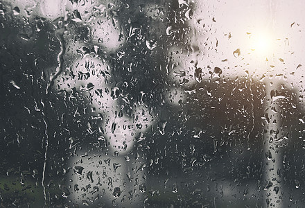 雨树雨中窗上的水滴背景