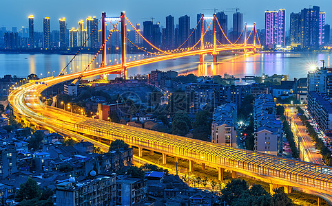 喝奶的鹦鹉长江大桥夜景背景