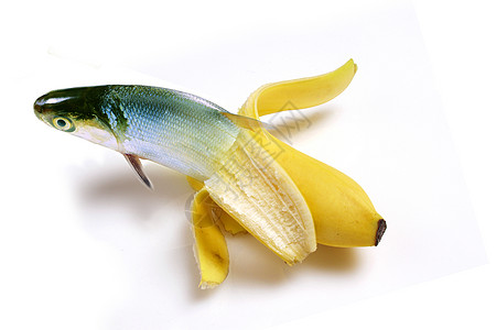 剥皮鱼图片