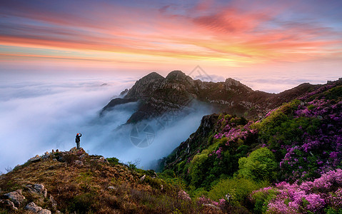 礼敬重阳山脉美景背景