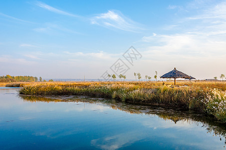 宁夏沙湖宁夏银川沙漠风光背景