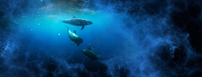 星河中的海豚  通往另一个世界图片
