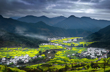 婺源油菜花山光春色图片