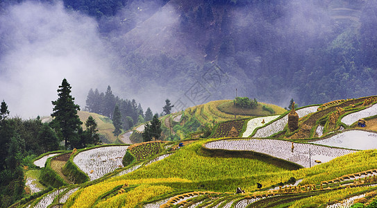 田园风光背景图片