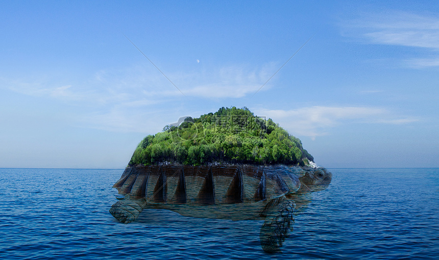 海龟岛图片
