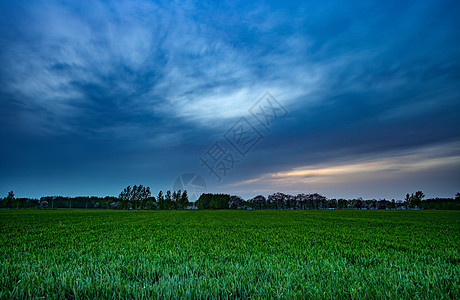 家乡的麦田背景图片