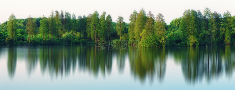 武汉东湖湖边树林倒影背景