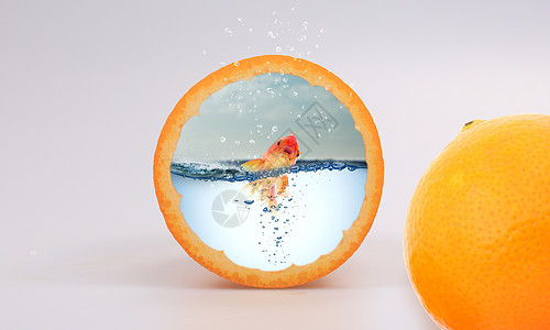橙子里的金鱼图片