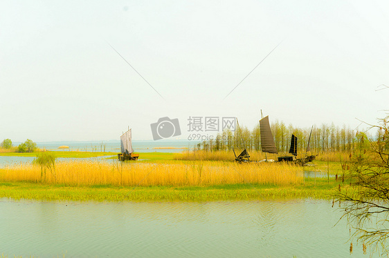 太湖国家湿地公园  帆船与湖畔图片