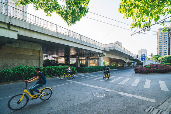 马路上的共享单车图片