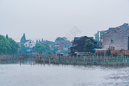 德清下渚湖湿地图片