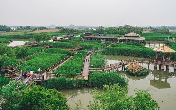 德清下渚湖湿地图片