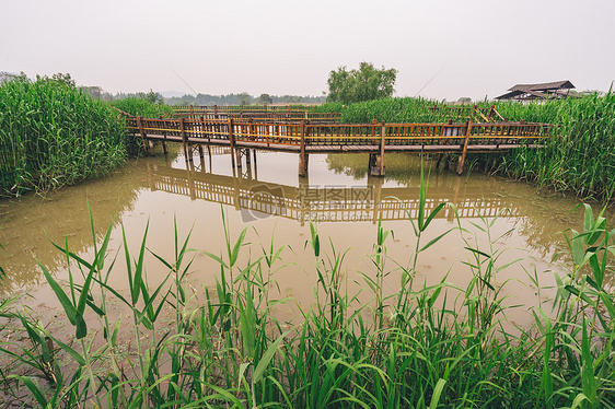 德清下渚湖湿地图片