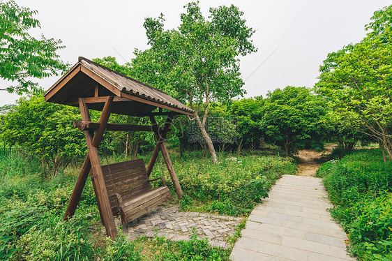 植物园花草树木图片