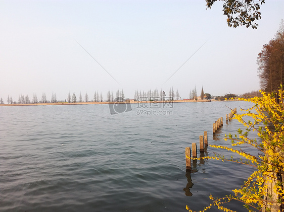 淀山湖图片