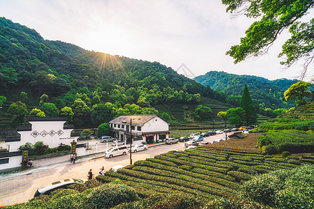 茶叶路素材梅家坞茶园背景