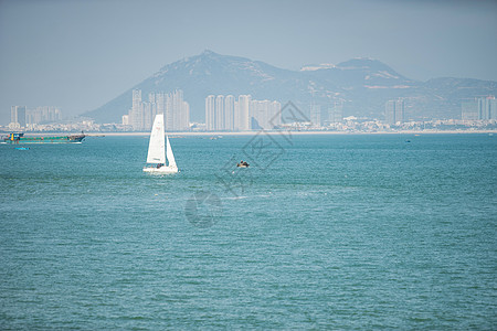 厦门帆船厦门的海景和城市高楼大厦背景