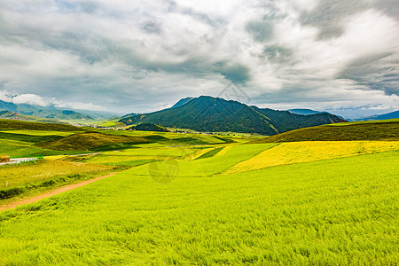 祁连山脉的原野背景图片