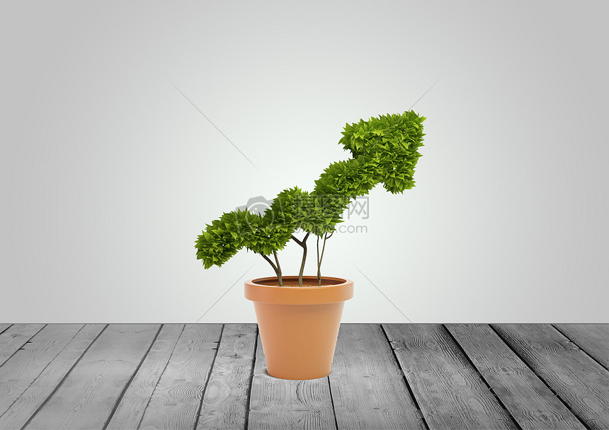 创意盆栽