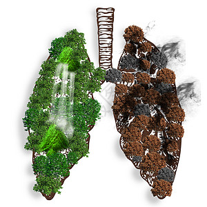 植物器官抽象创意合成肺部图片设计图片