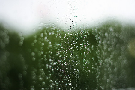 烟雨江南的绿色春天背景图片