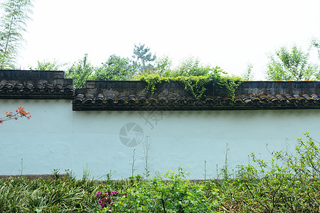 植物园花草树木图片