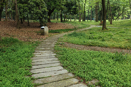 植物园休闲绿色风景图片