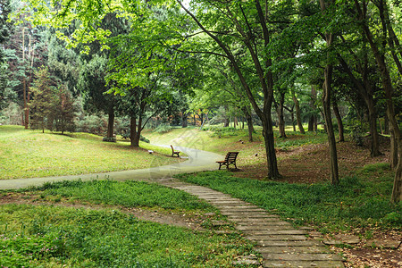 小清新绿色草地植物园休闲绿色风景背景