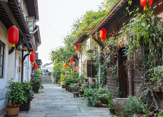 杭州小河直街自然风景图片