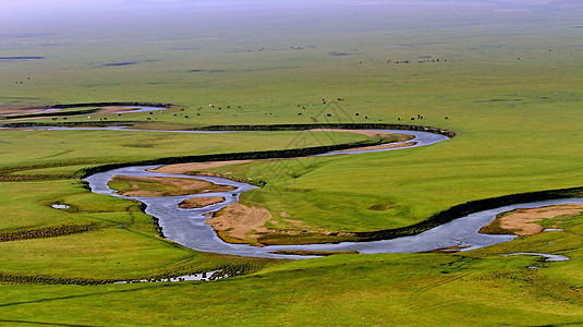 内蒙古呼伦贝尔大草原图片