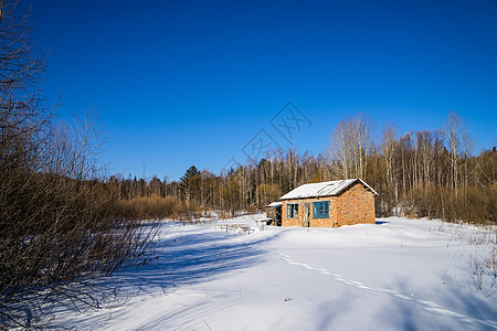 牡丹江雪乡的冬天白桦树下的雪地和红砖小屋背景图片